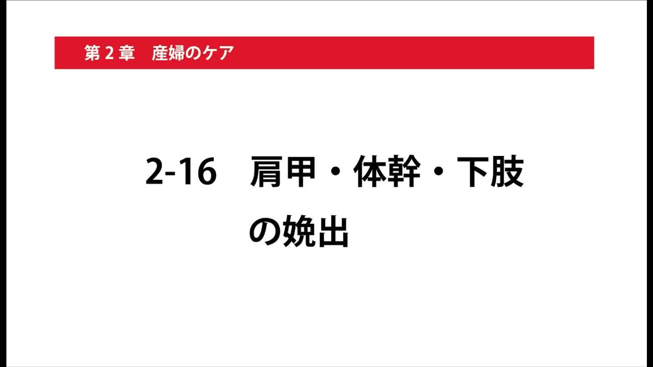 2-16肩甲・体幹・下肢の娩出