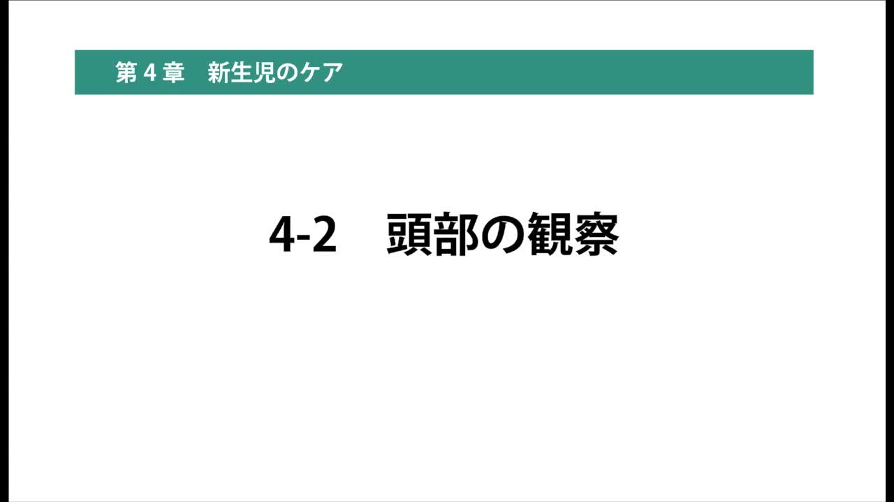 4-2頭部の観察