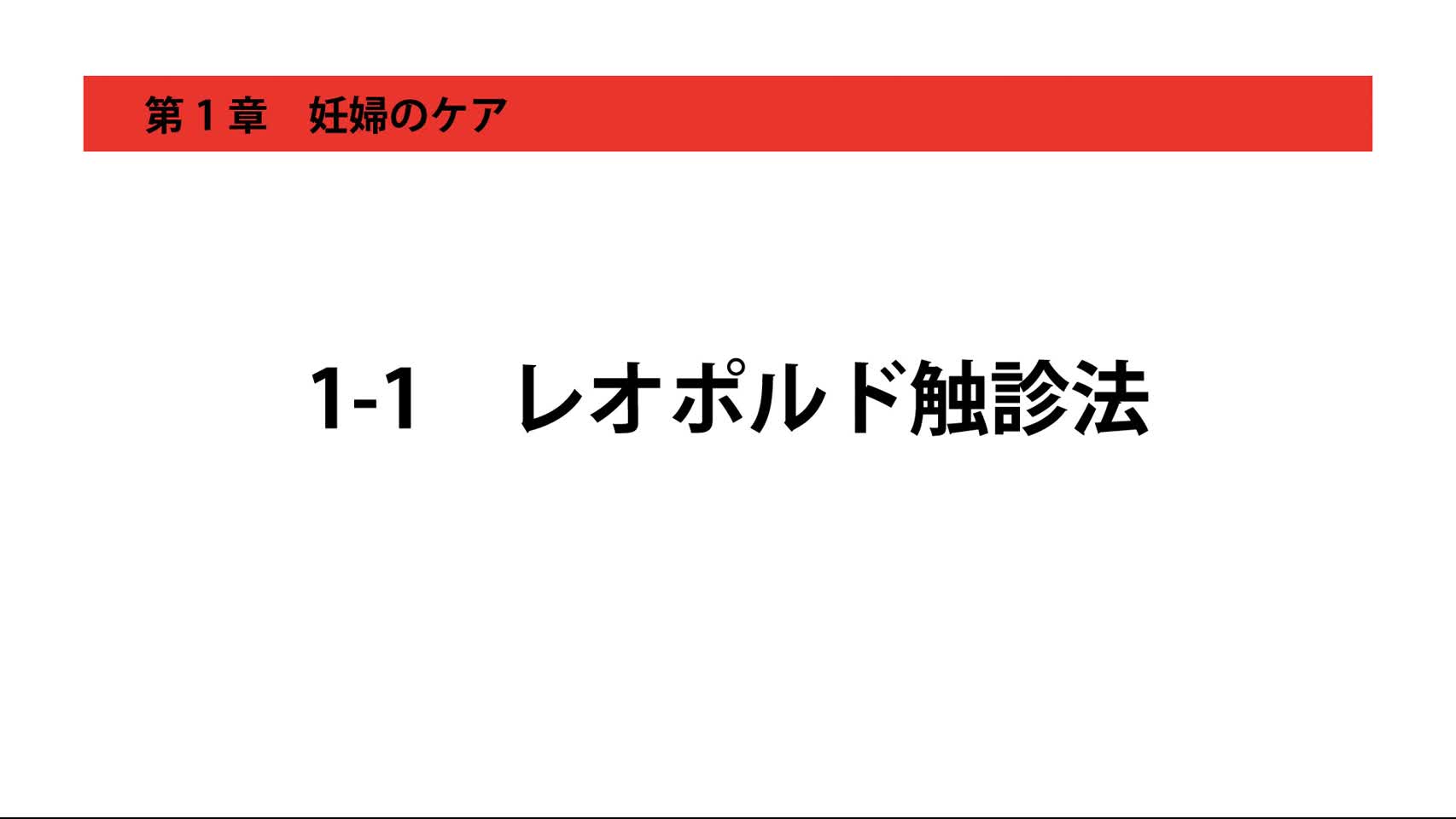 1-1レオポルド触診法